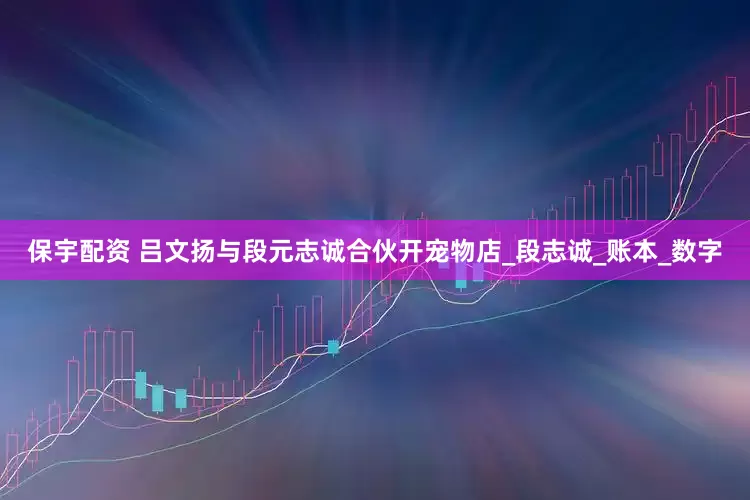 保宇配资 吕文扬与段元志诚合伙开宠物店_段志诚_账本_数字