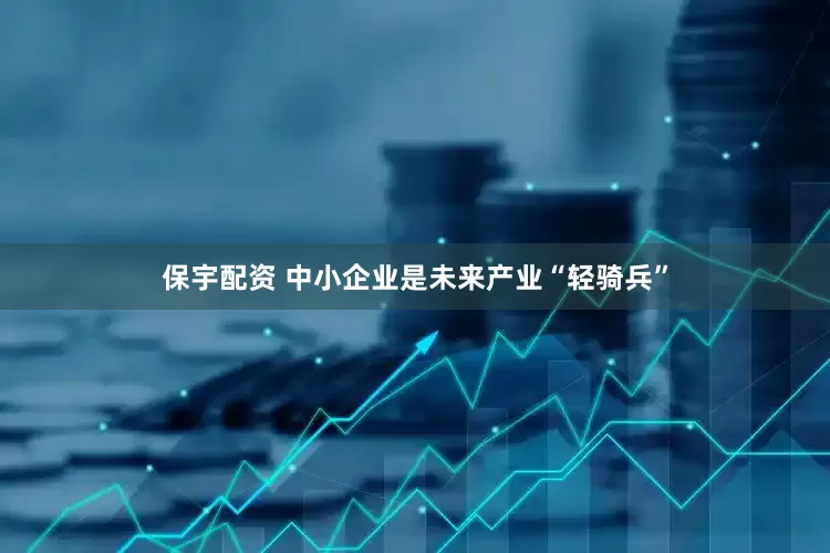 保宇配资 中小企业是未来产业“轻骑兵”