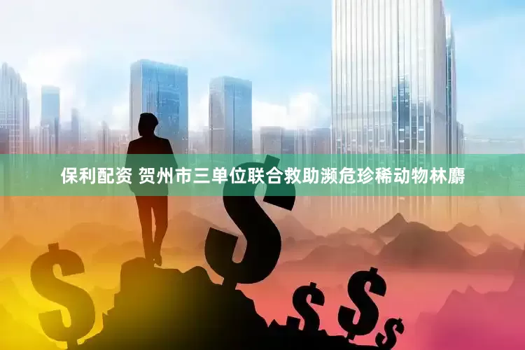 保利配资 贺州市三单位联合救助濒危珍稀动物林麝